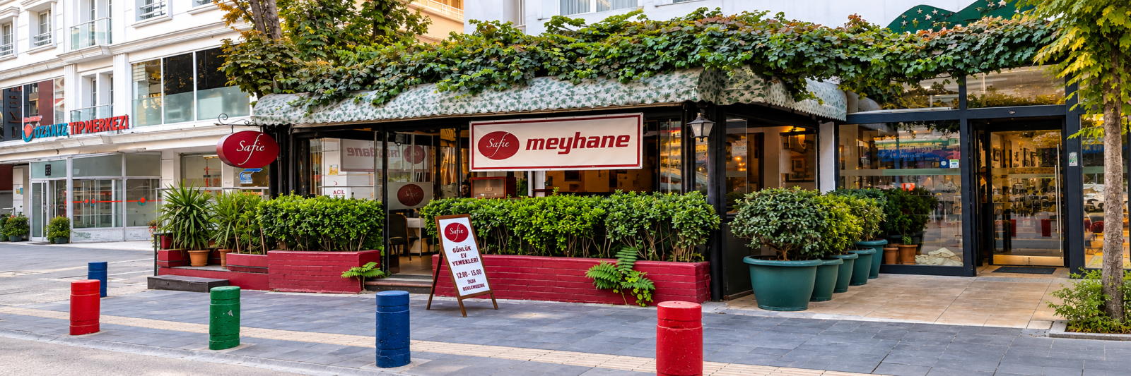 Safie Meyhane